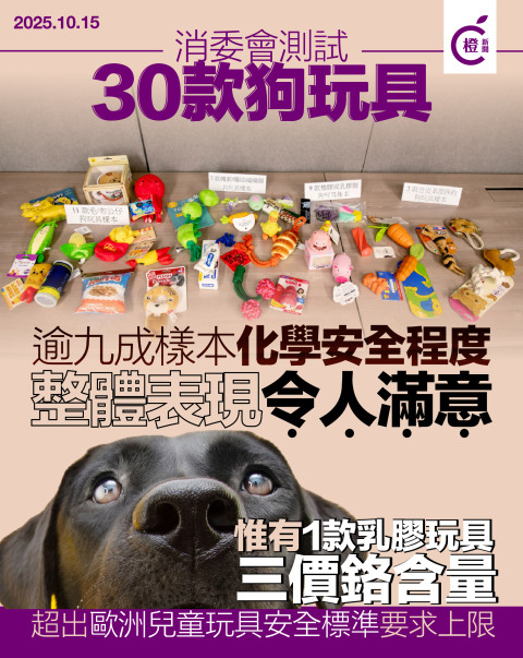 消委會｜逾90%狗玩具樣本化學安全程度理想 1樣本三價鉻高於安全標準
