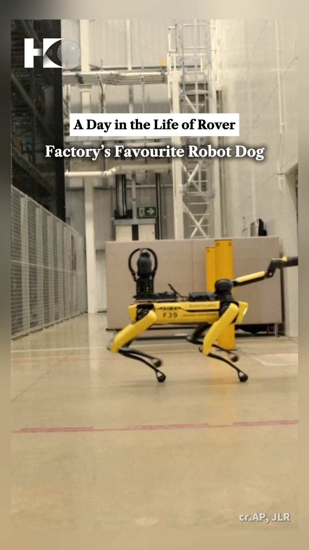 robot dog