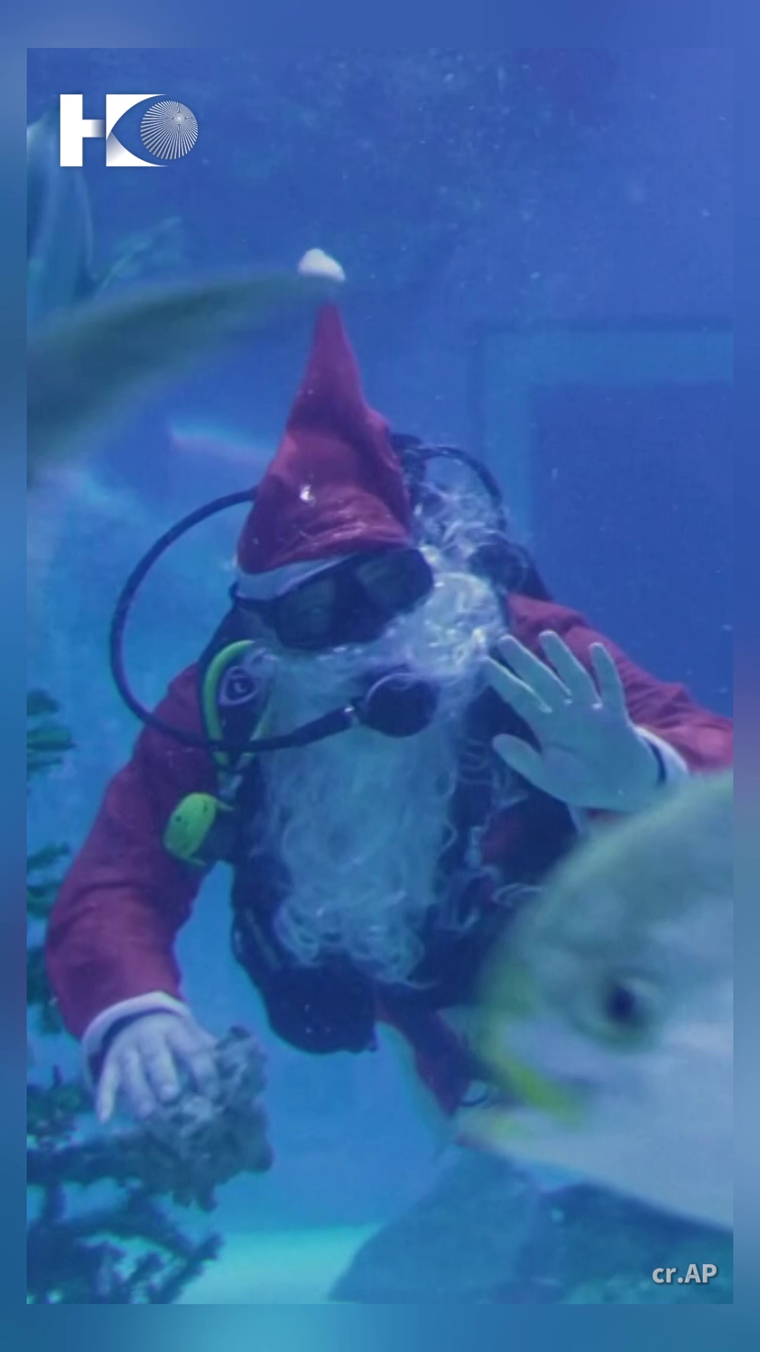 santa diver